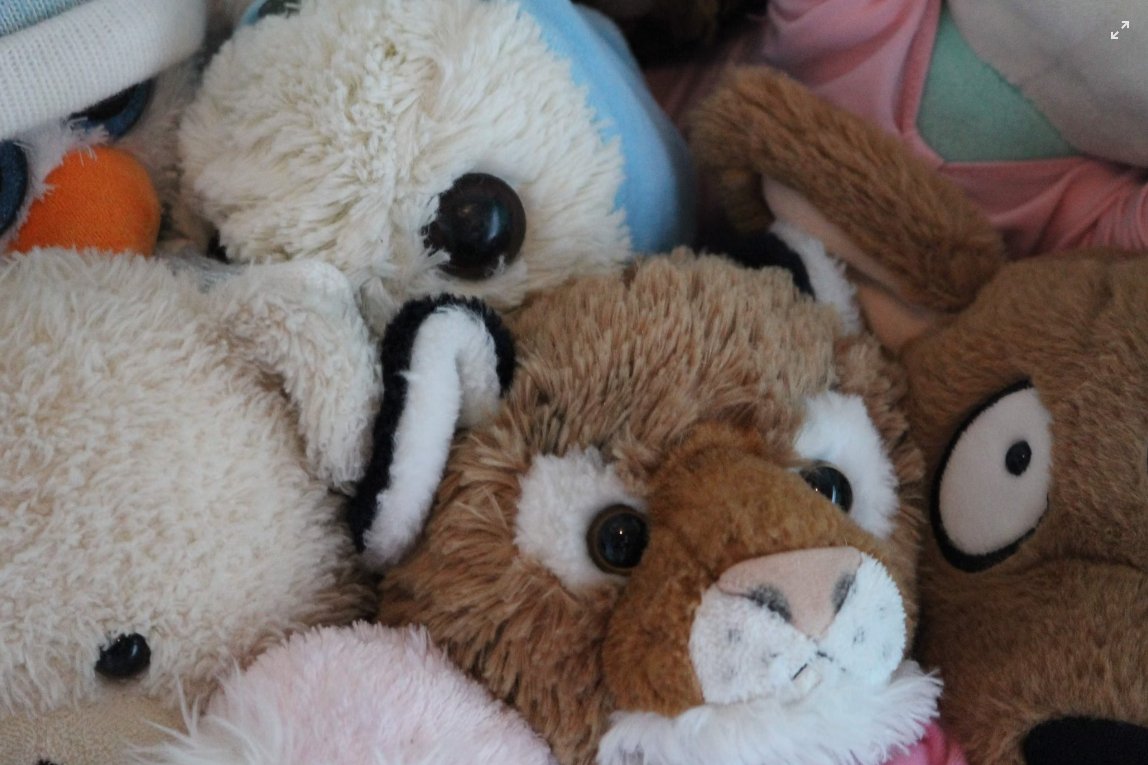 Top reasons stuffed animals are important - Snuggie Buggies